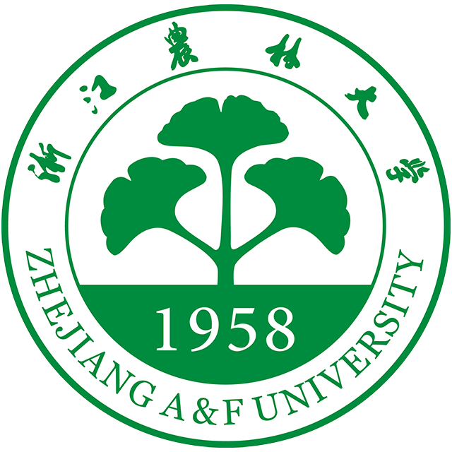 电竞投注平台
