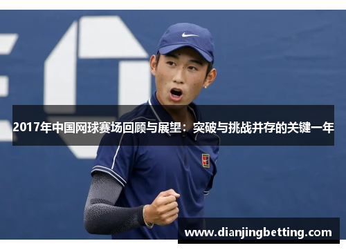 2017年中国网球赛场回顾与展望：突破与挑战并存的关键一年