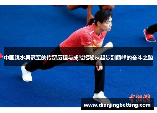 中国跳水男冠军的传奇历程与成就揭秘从起步到巅峰的奋斗之路